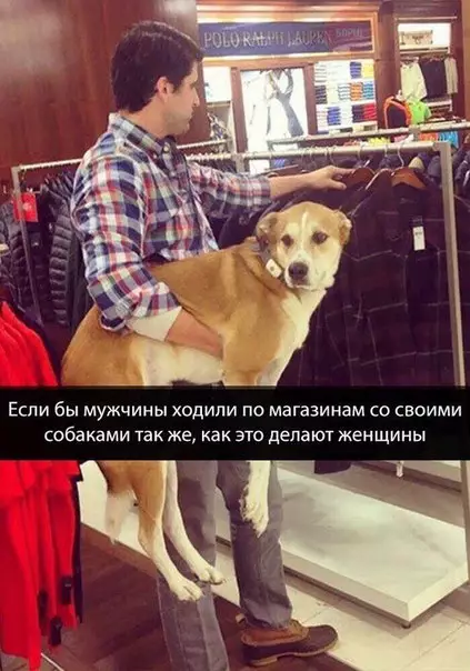 Смешная картинка №235294