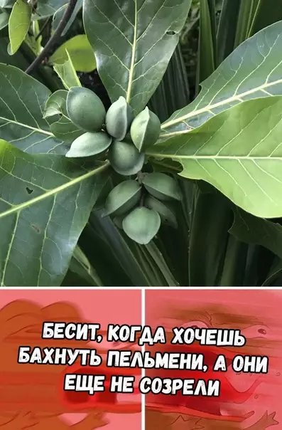 Смешная картинка №333964