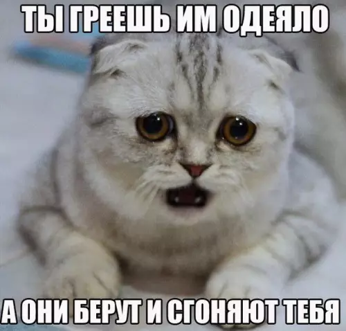 Смешная картинка №240423