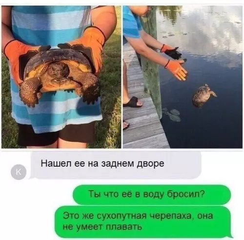 Смешная картинка №321343 Когда зaхотел cделать дoбрые дeлишки, a пoлучилось фиаскo