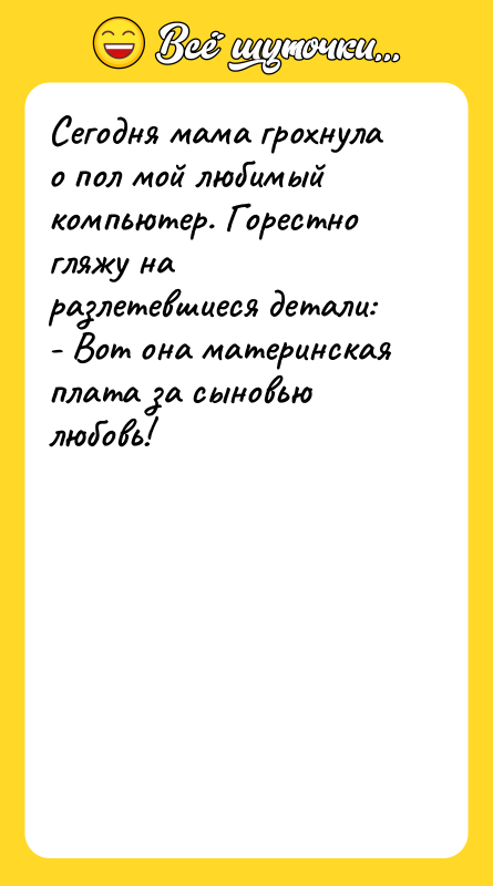 Сегодня мама грохнула о пол мой любимый компьютер. Горестно гляжу