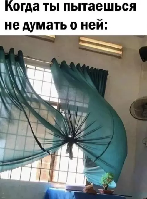 Смешная картинка №721524 Девушки 