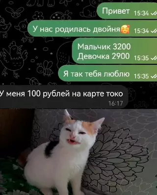 Смешная картинка №709906