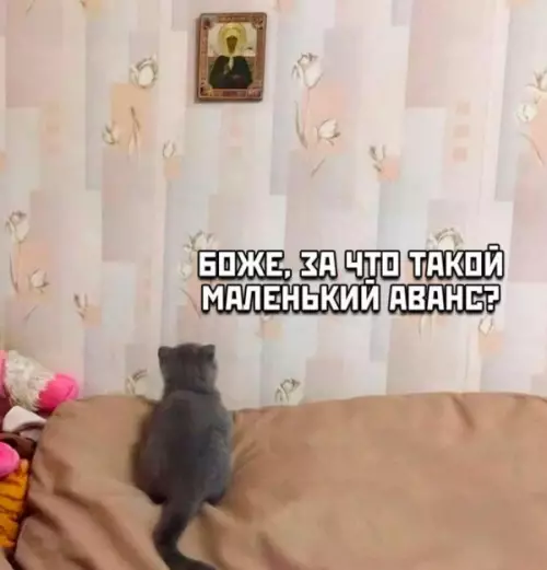 Смешная картинка №682769