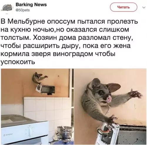 Смешная картинка №255178