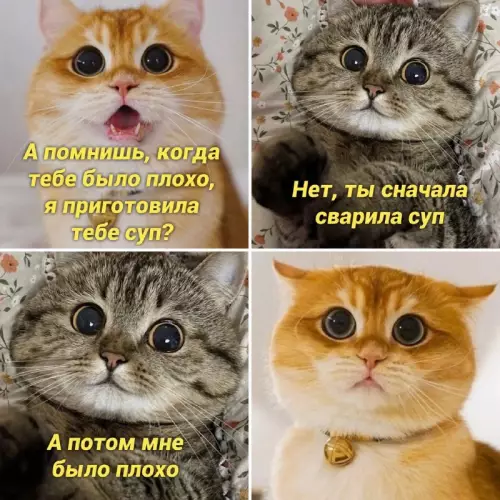 Смешная картинка №664876