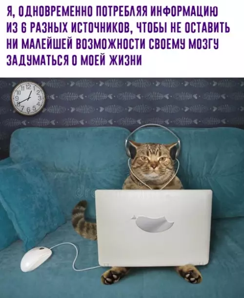 Смешная картинка №647668
