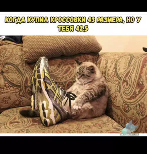 Смешная картинка №340248