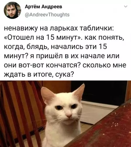 Смешная картинка №528434