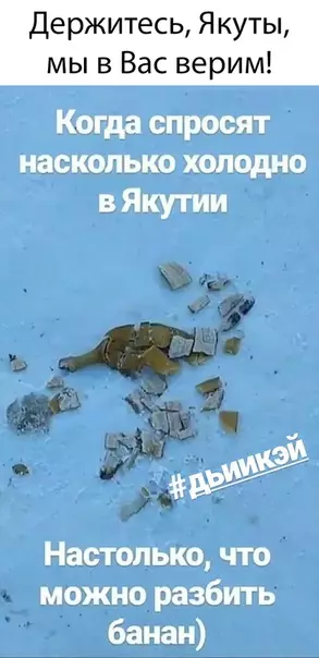 Смешная картинка №313899 зима
