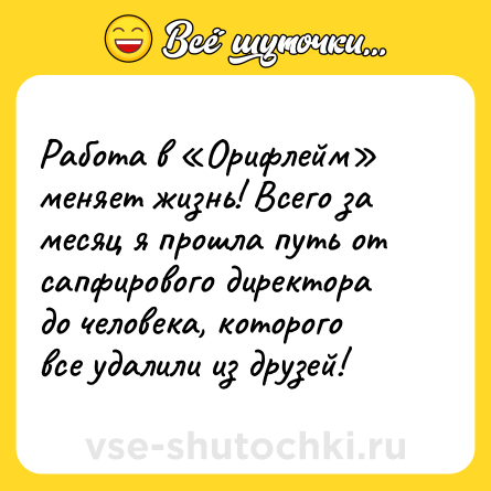 Шутка: Работа в «Орифлейм» меняет жизнь! Всего за месяц я прошла путь от сапфирового директора до человека, которого все удалили из друзей!