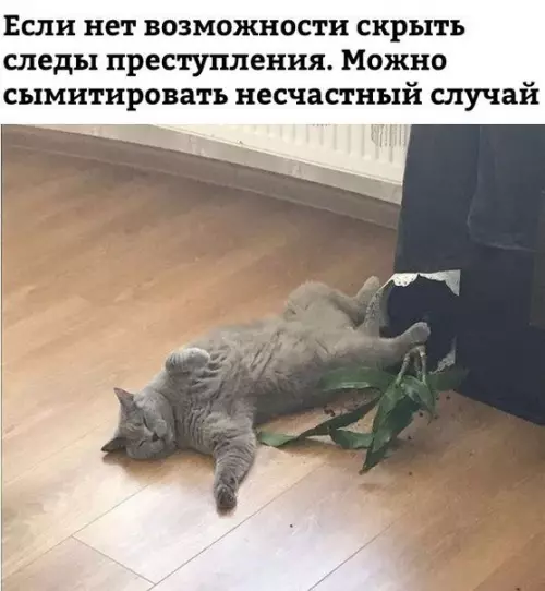 Смешная картинка №255664