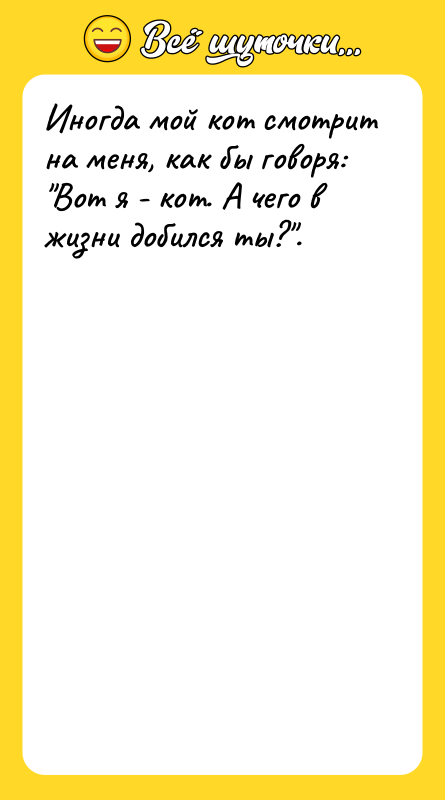 Иногда мой кот смотрит на меня, как бы говоря: "Вот