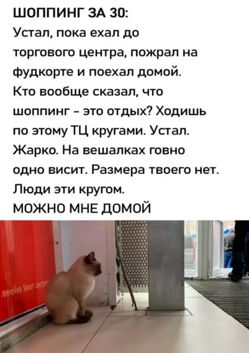 Когда пошопил и хочеш домой 😿 - ШОППИНГ ЗА 30: Устал, пока ехал до торгового центра, пожрал