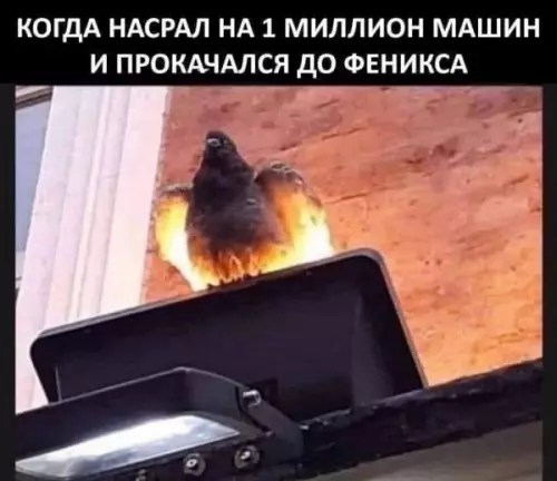 Смешная картинка №647733