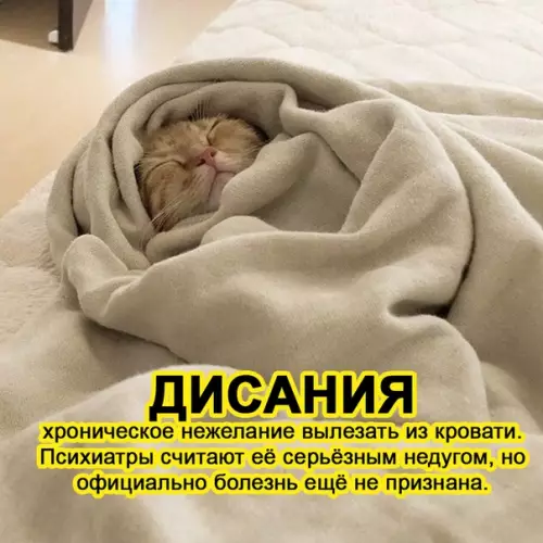 Смешная картинка №535460 Моё постоянное состояние по утрам: