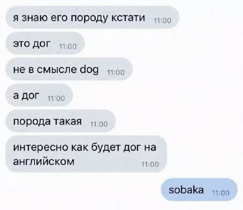 Когда лингвистика зашла слишком далеко 😂 - я знаю его породу кстати 11:00 это дог 11:00 не