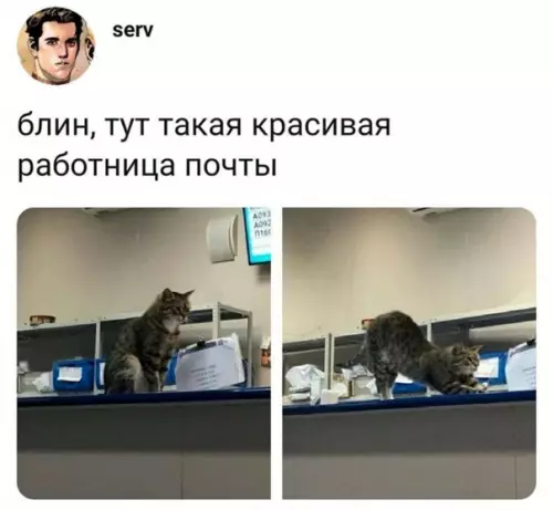 Смешная картинка №544344