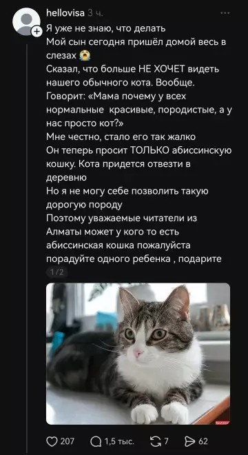 Кошка не той породы