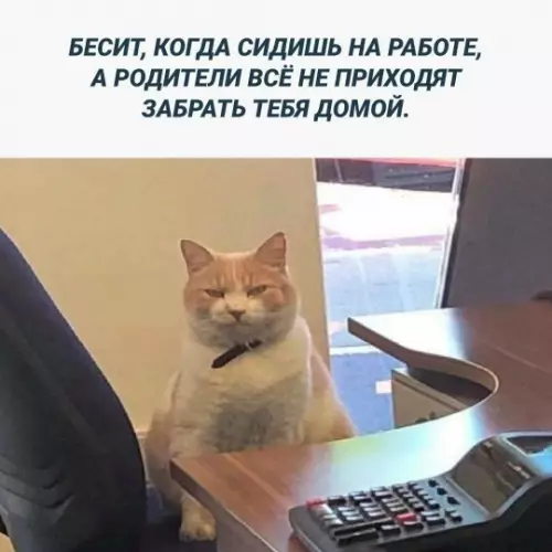 Смешная картинка №780935