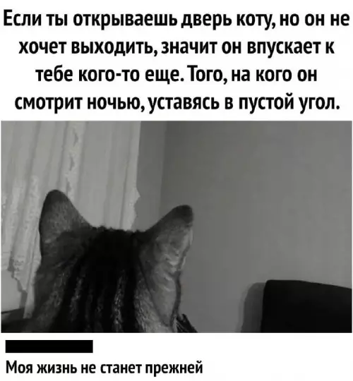 Смешная картинка №662029