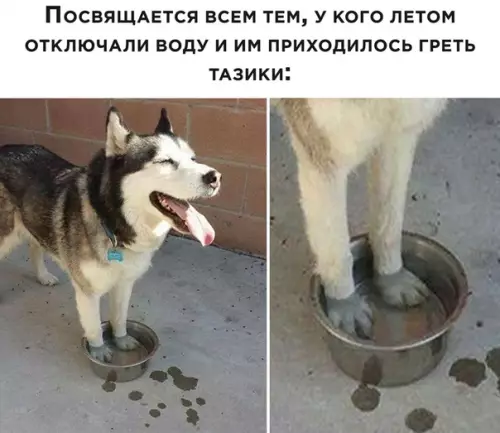 Смешная картинка №506902