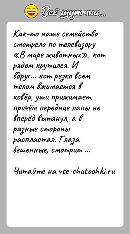 История: Как-то наше семейство смотрело по телевизору В мире животных , кот рядом крутился. И вдруг кот резко всем телом вжимается в
