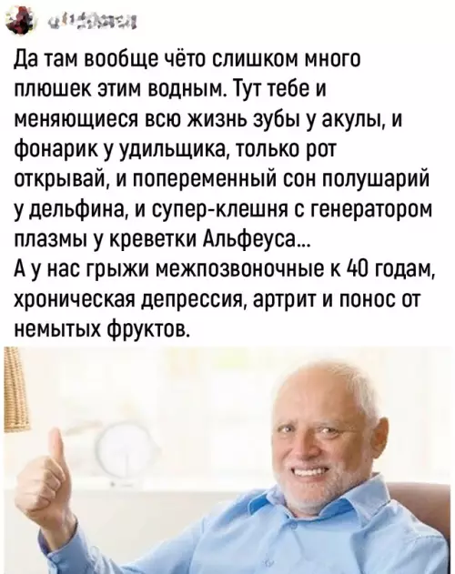продолжение Смешная картинка №682824