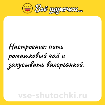 Шутка: Настроение: пить ромашковый чай и закусывать валерьянкой.