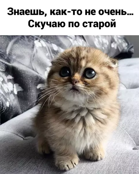 продолжение Смешная картинка №580761 Работа