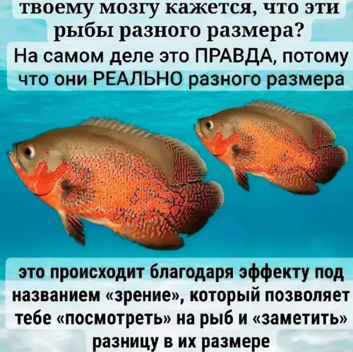 Смешная картинка №752674 Невероятно!