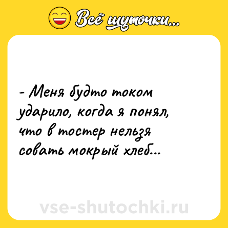 Шутка: - Меня будто током ударило, когда я понял, что в тостер нельзя совать мокрый хлеб...