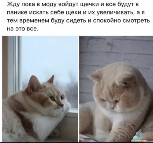 Смешная картинка №399066