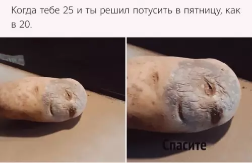 Смешная картинка №508636