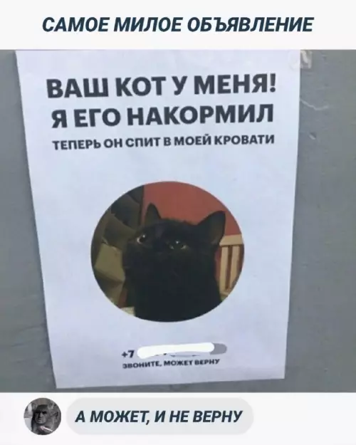 Смешная картинка №685984