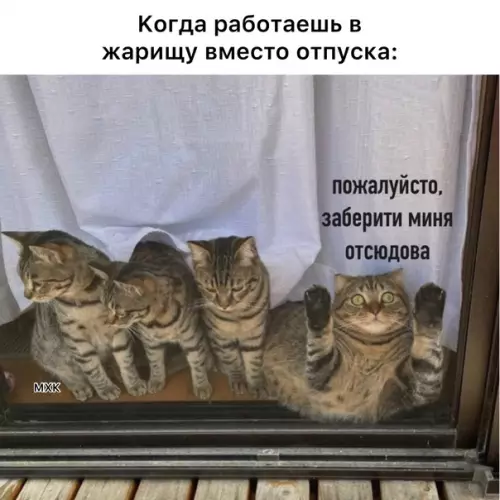 Смешная картинка №580598 Работа
