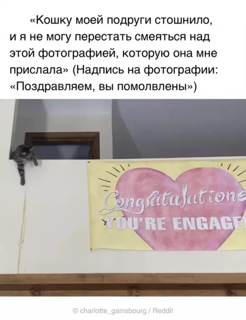 Смешная картинка №623921