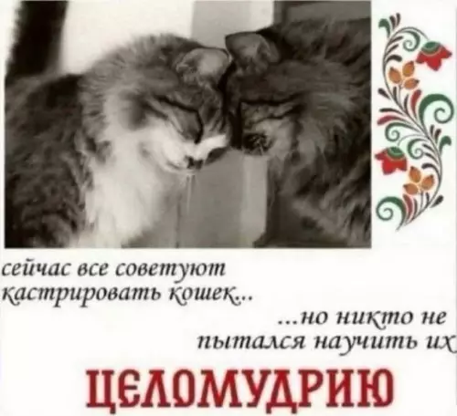Смешная картинка №821743 Воспитание