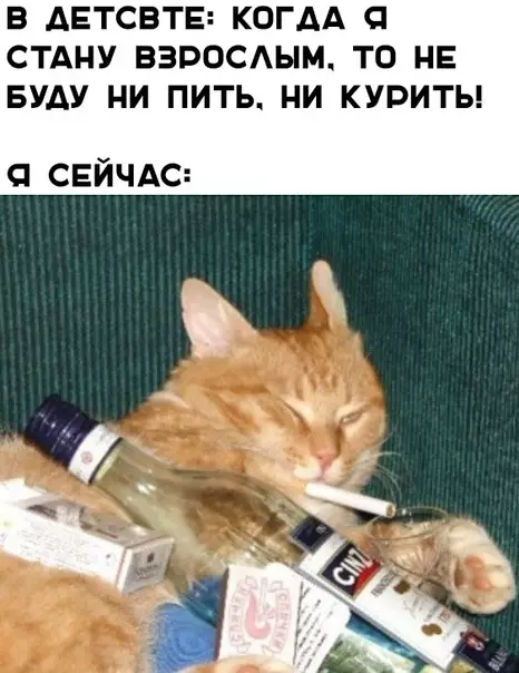 Смешная картинка №347461