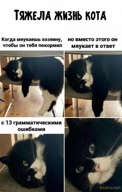 Смешная картинка №661518 картинки