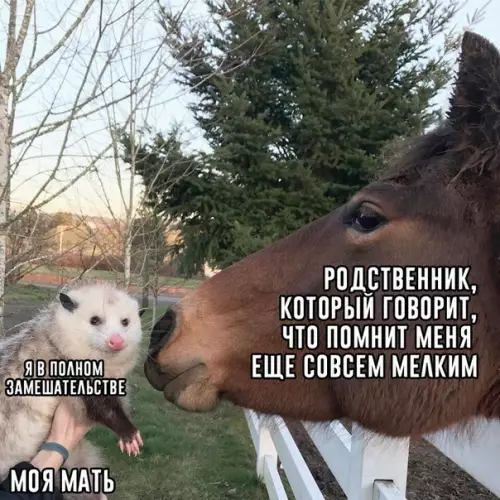 Смешная картинка №336966 Знакoмaя вceм ситyaция.