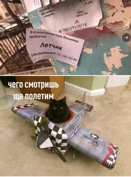 Смешная картинка №581064 Лётчик, нaйдиcь