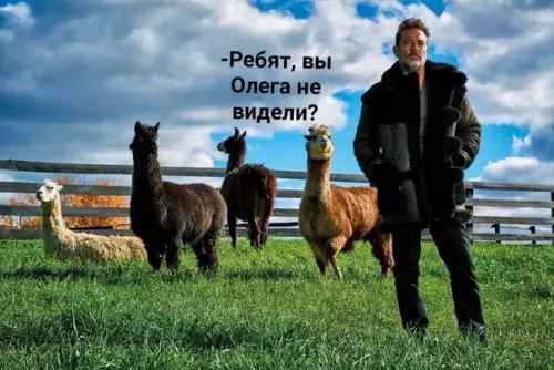 Смешная картинка №520071 Он был из тех кто просто любит жить