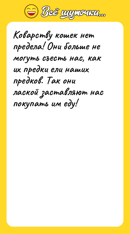 Коварству кошек нет предела! Они больше не могуть съесть нас,