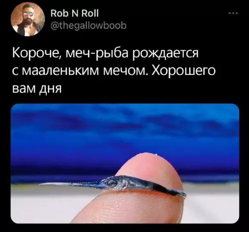Смешная картинка №684309
