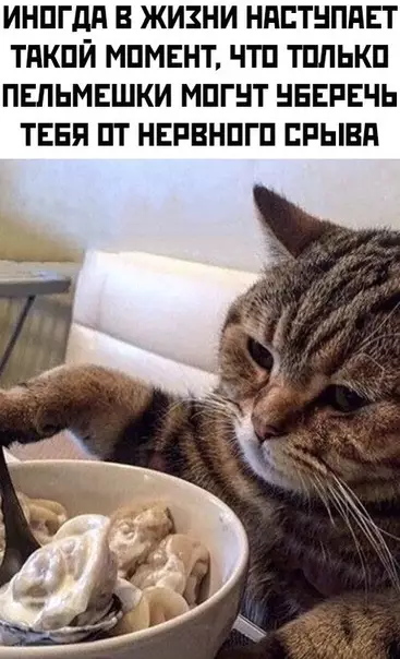 Смешная картинка №500809