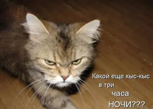 Смешная картинка №239112