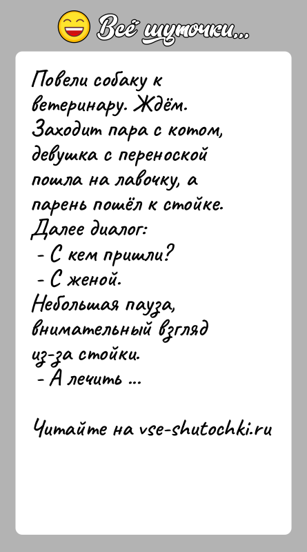 История: Повели собаку к ветеринару. Ждём. Заходит пара с котом, девушка с переноской пошла на лавочку, а парень пошёл к стойке.