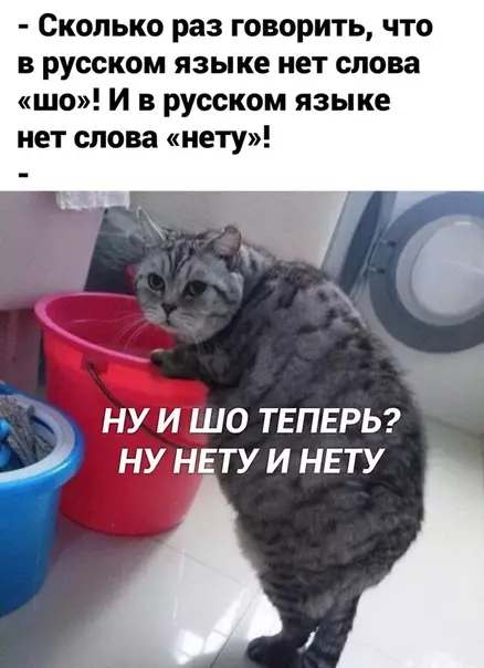 Смешная картинка №516734