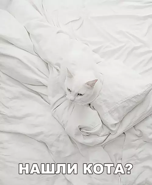 Смешная картинка №185085